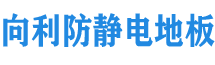 中国「永兴集团」防静电活动地板有限公司